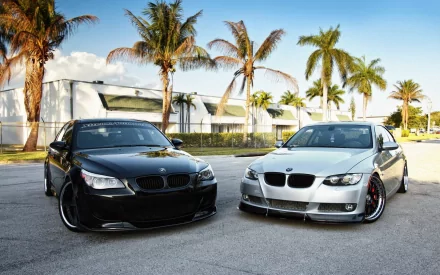 HD PC desktop wallpaper featuring two BMW vehicles parked side by side under palm trees on a sunny day.