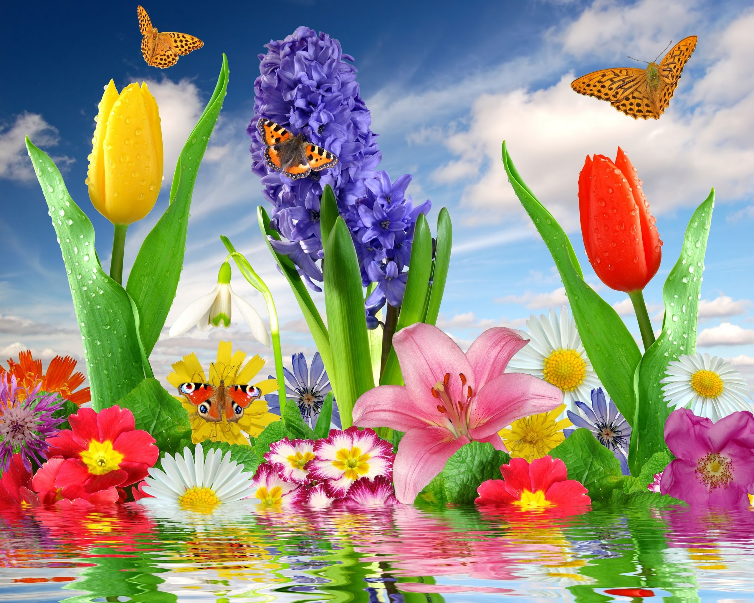 Download Artistic Flower HD Wallpaper