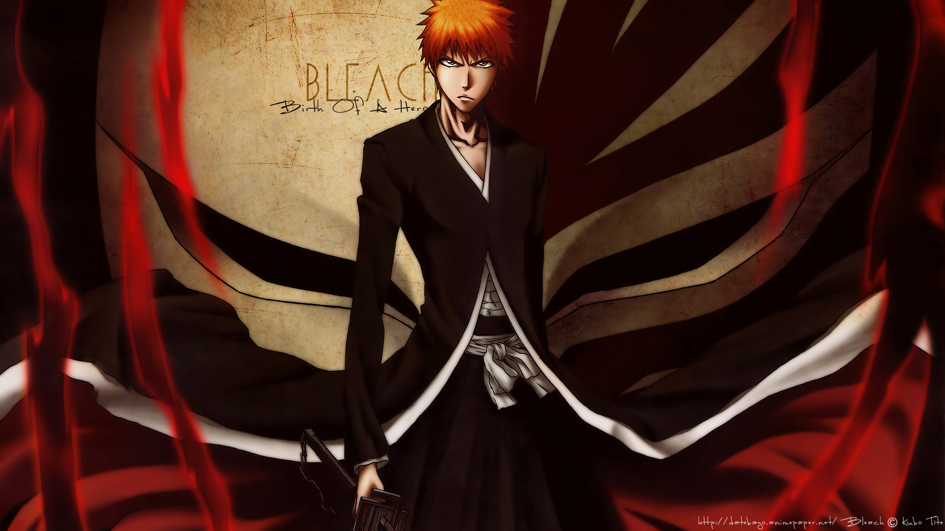 Bleach Hd Wallpaper Background Image 1920x1080 Id 255764