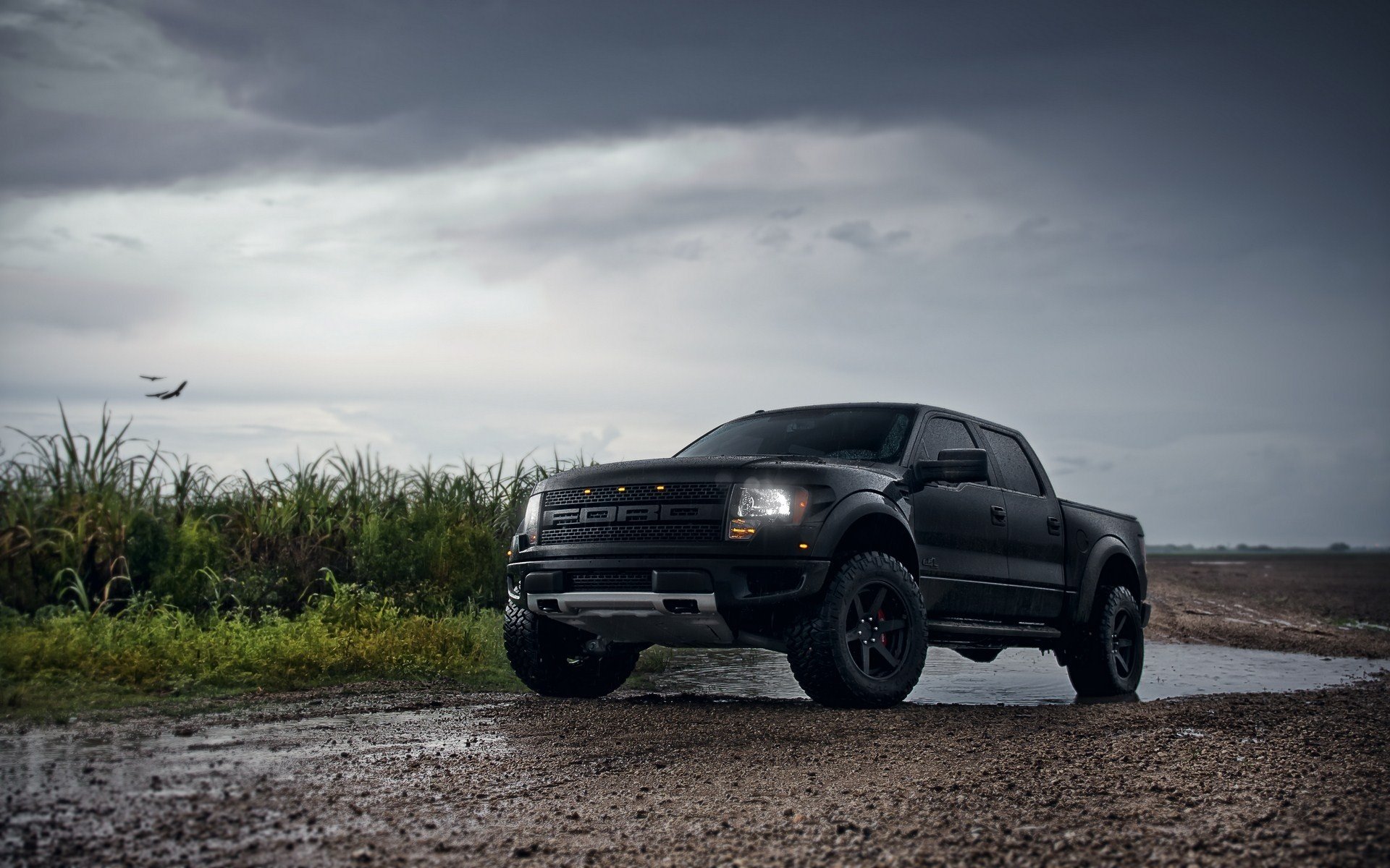 Download Vehicle Ford Raptor HD Wallpaper