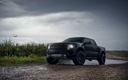 HD PC desktop wallpaper and background of a black Ford Raptor pickup parked on a muddy road beneath stormy clouds, with tall grass lining the roadside.