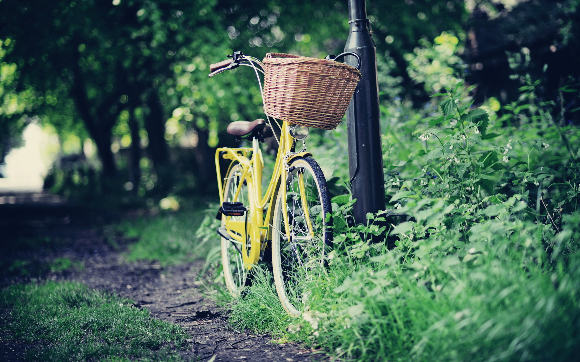 Download Vehicle Bicycle HD Wallpaper