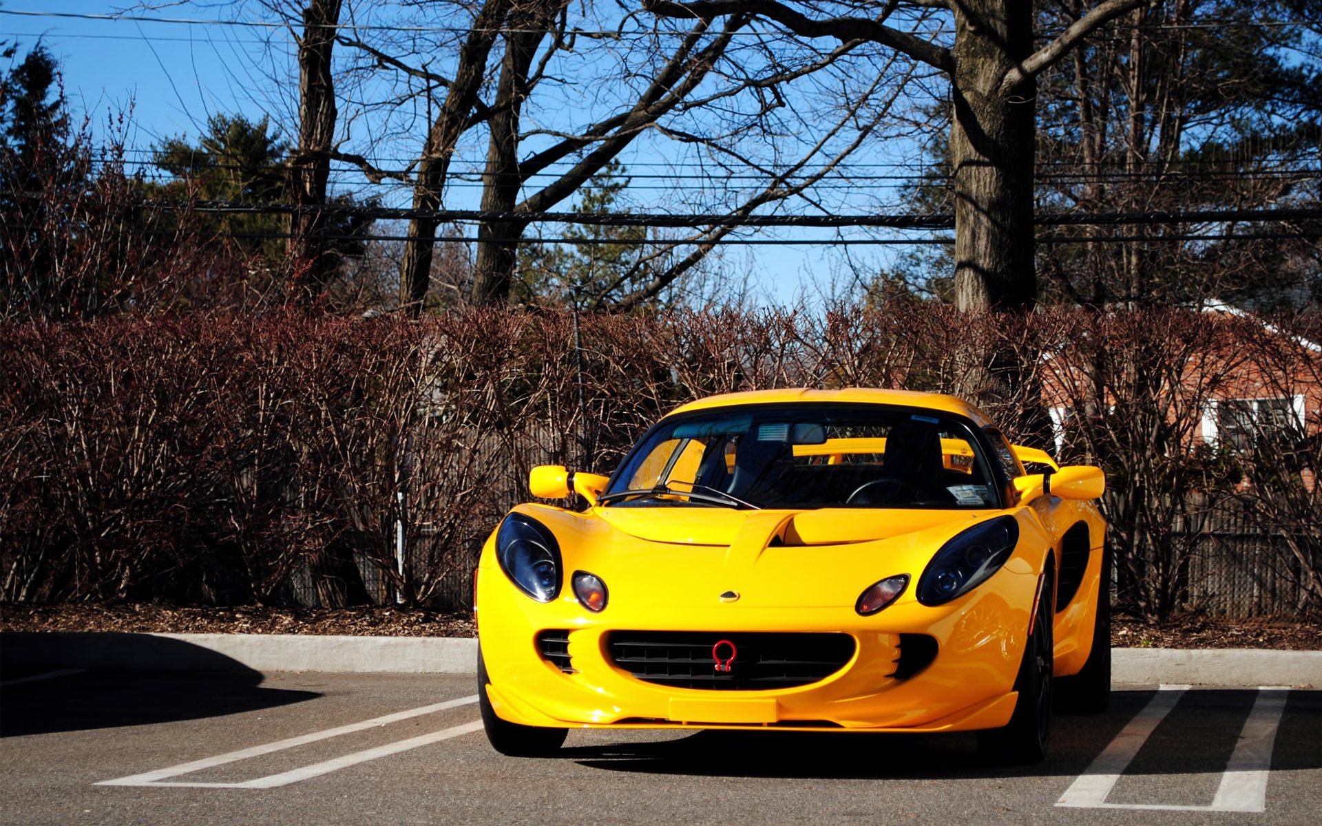 Download Vehicle Lotus (Car) HD Wallpaper