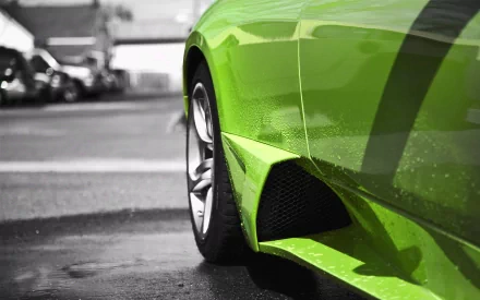 vehicle Lamborghini Murcielago HD Desktop Wallpaper | Background Image