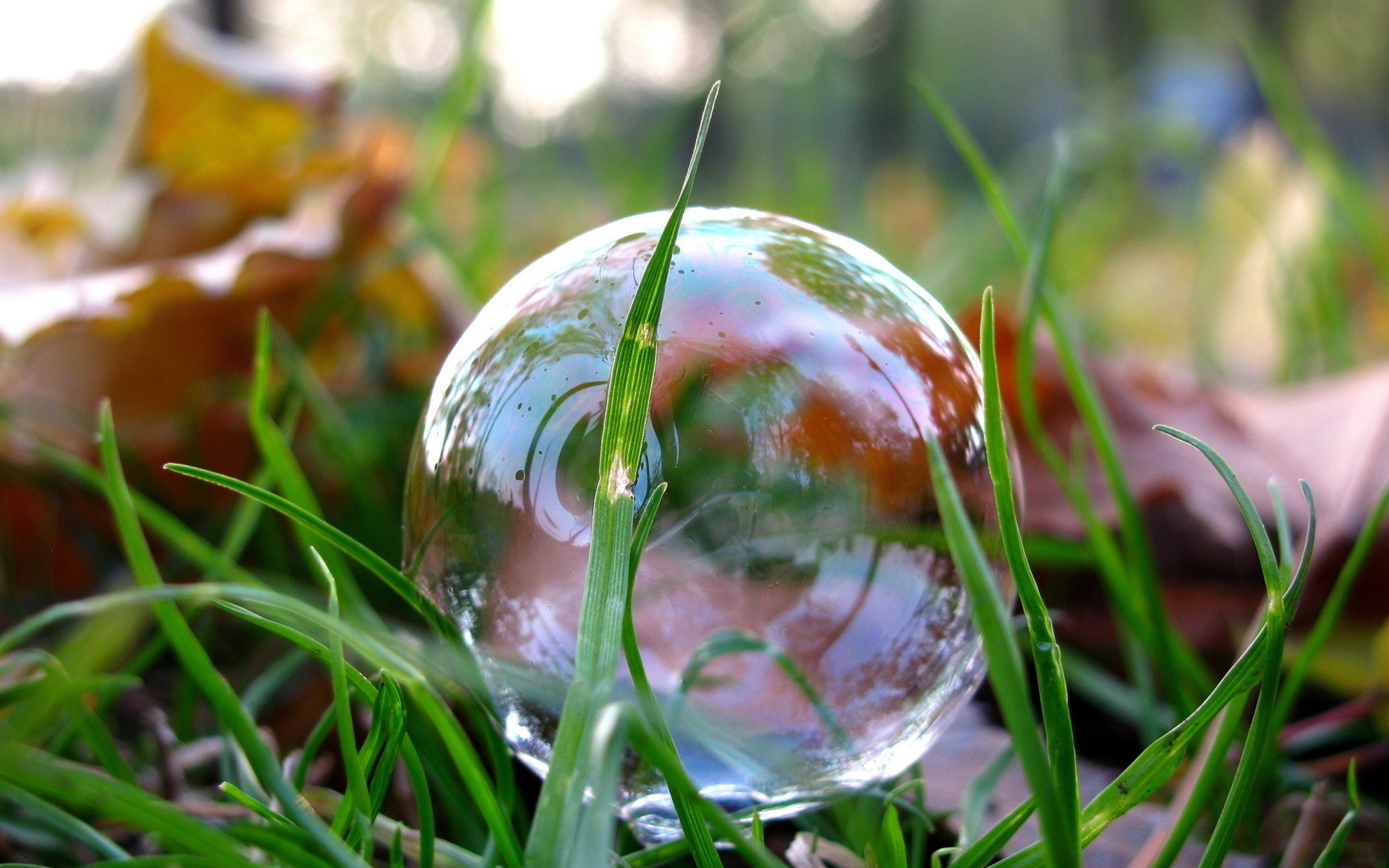 Bubble HD Wallpaper | Background Image | 1920x1200 | ID:257826