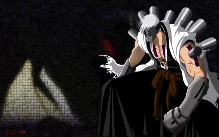 Kensei Muguruma Anime Bleach HD Desktop Wallpaper | Background Image