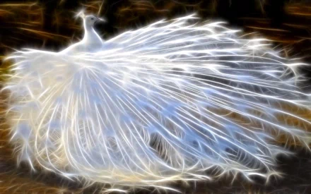 HD desktop wallpaper featuring a CGI depiction of a peacock with an ethereal, glowing white tail, set against a dark background.