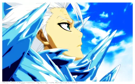 Tōshirō Hitsugaya Anime Bleach HD Desktop Wallpaper | Background Image