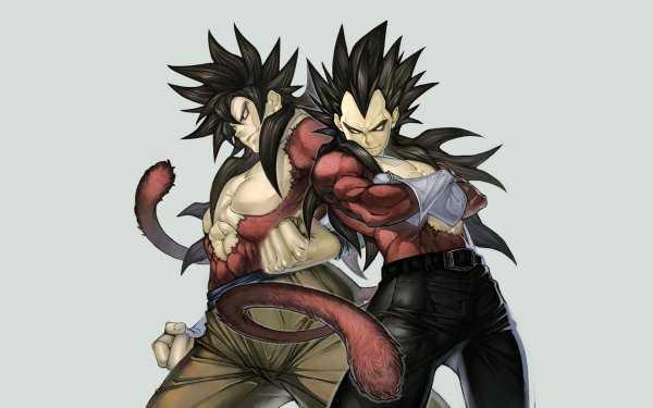 Anime Dragon Ball GT Dragon Ball Belt Vegeta Fur Martial Arts Tail HD Wallpaper | Background Image