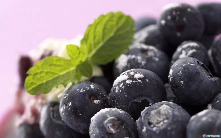 food blueberry HD Desktop Wallpaper | Background Image