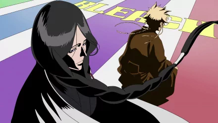 Isane Kotetsu Unohana Retsu Anime Bleach HD Desktop Wallpaper | Background Image