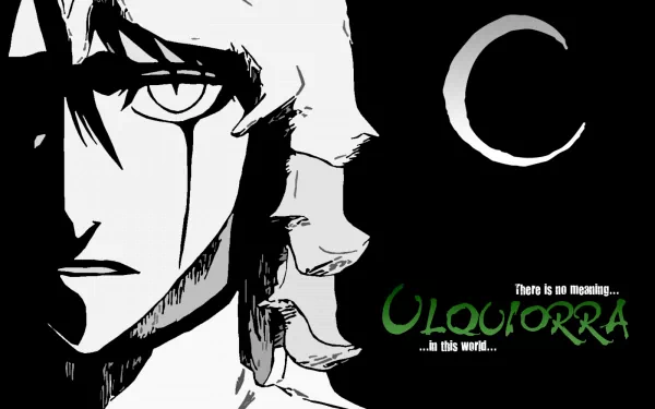 Ulquiorra Cifer Anime Bleach HD Desktop Wallpaper | Background Image