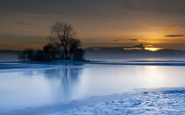 A serene winter landscape featuring a foggy lake at sunset, with icy water reflecting the warm hues of the sky and a solitary tree silhouetted on a small island.