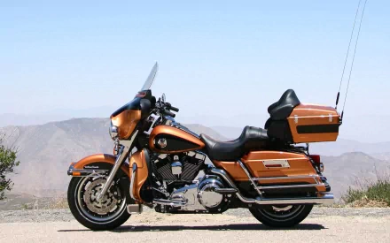  Harley Davidson