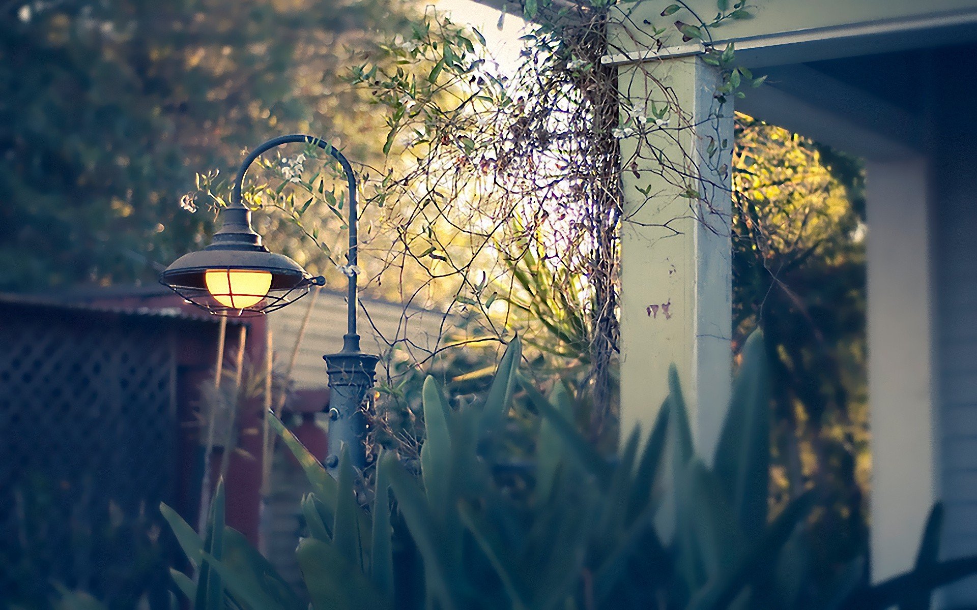 Ровный свет уличного фонаря наполняя. Ландшафтные светильники Robers Kitchler. Фонари в саду Эрмитаж. Уличный фонарь. Уличные фонари для сада.