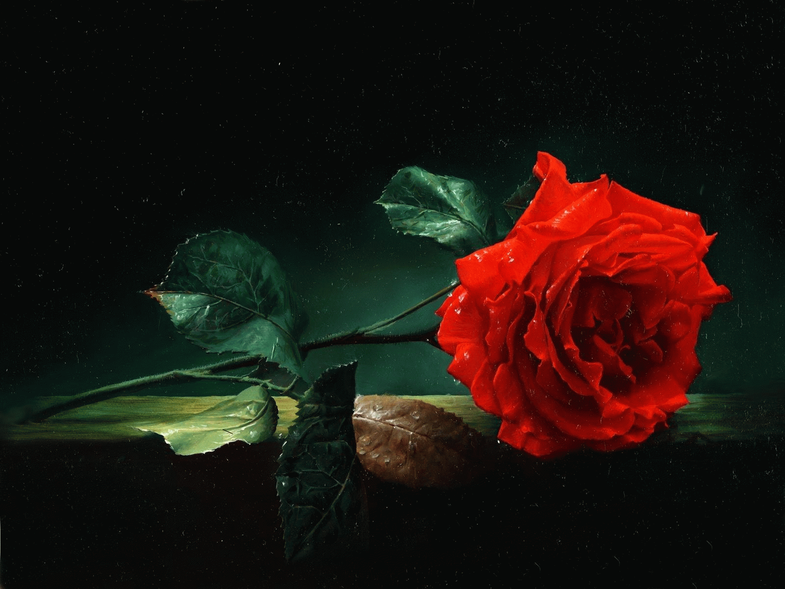 Artistic HD desktop wallpaper featuring a vivid red rose with green leaves against a dark, moody background.