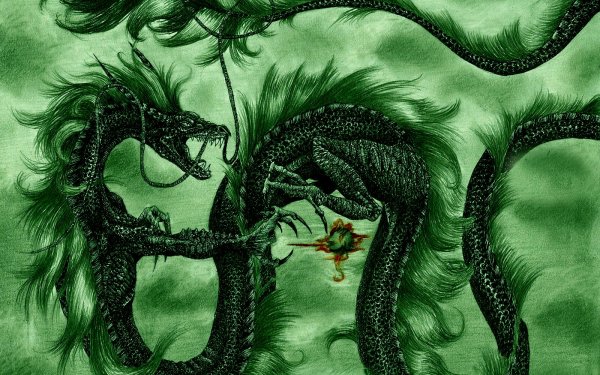 Fantasy Dragon HD Wallpaper | Background Image