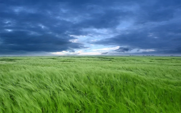 A vibrant green field stretches under a dramatic sky, showcasing the beauty of nature. This HD image makes an inspiring desktop wallpaper and background.