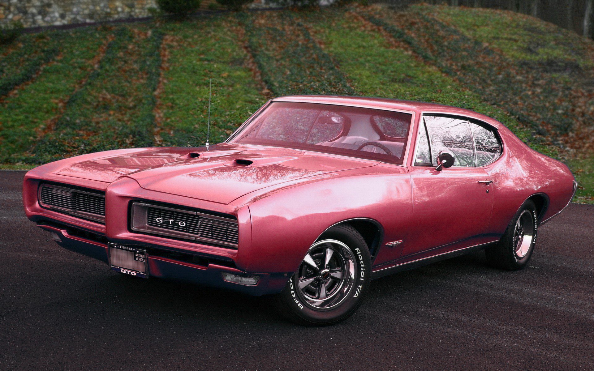 Pontiac gto wallpaper