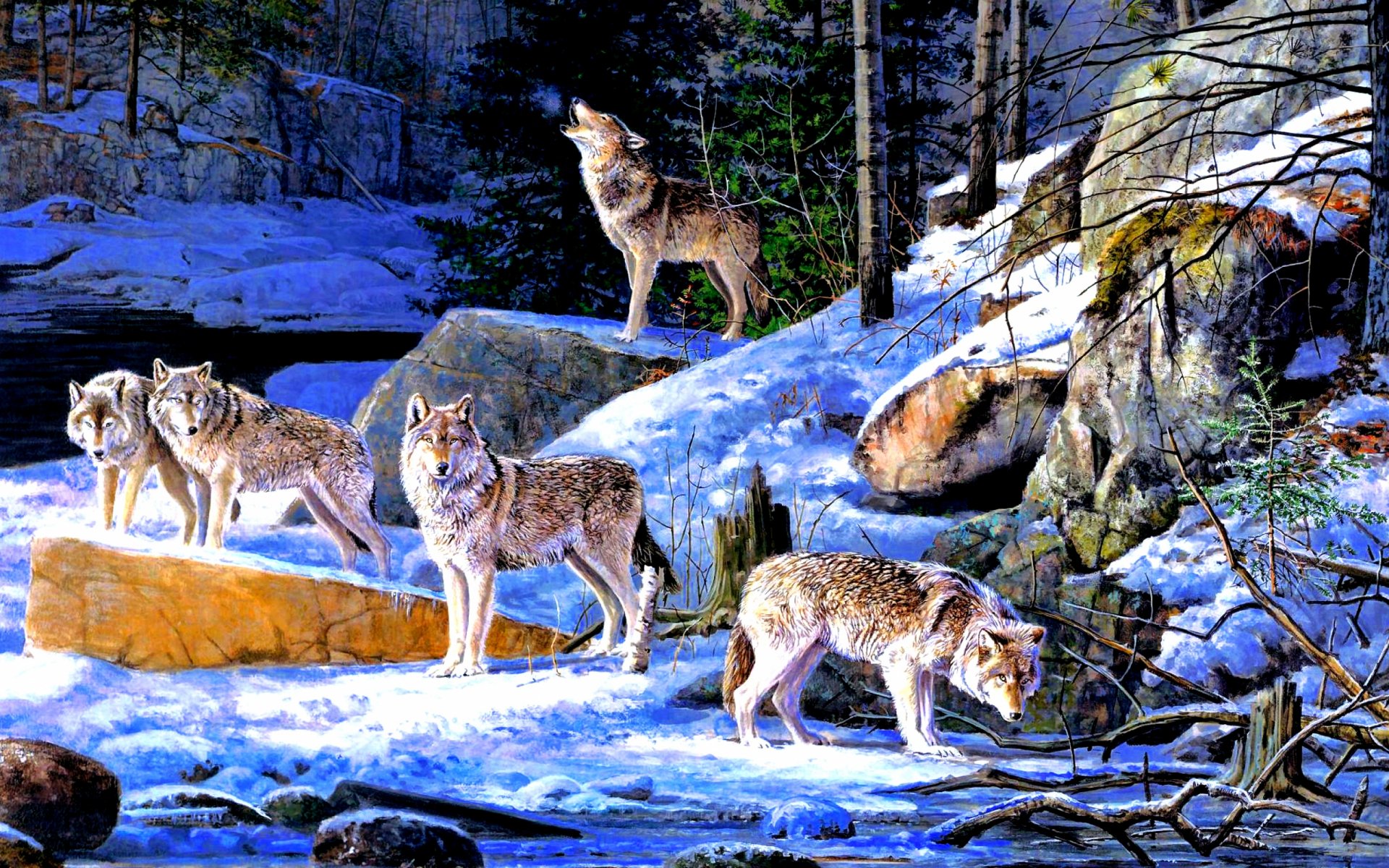 Download Animal Wolf HD Wallpaper