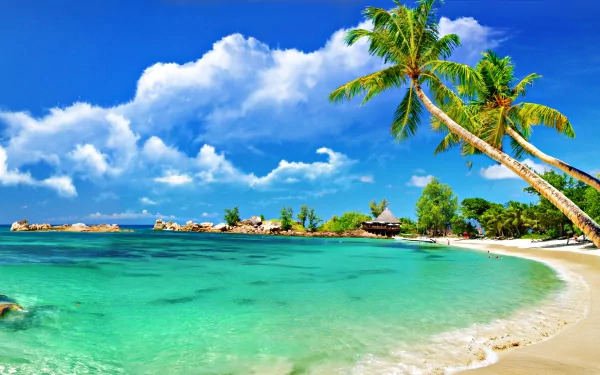  Relax Resort