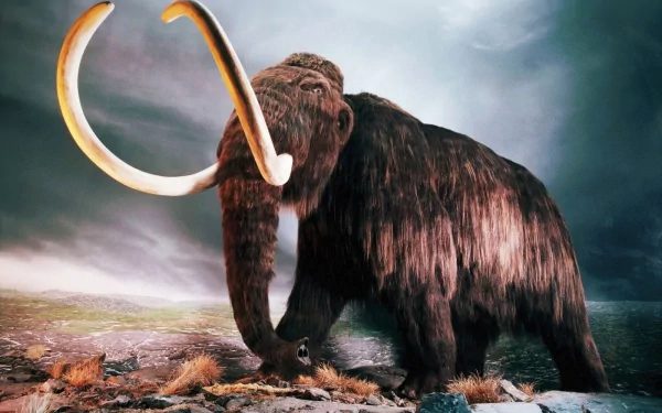 A majestic mammoth from the Pliocene era stands against a dramatic landscape, showcasing its giant, extinct tusks in this striking HD desktop wallpaper.