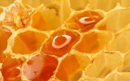 Close-up HD desktop wallpaper of golden honey flowing through a hexagonal honeycomb structure, highlighting the rich texture and natural beauty of the food.