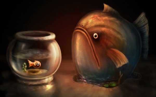 Animal Artistic Fish Fish Bowl HD Wallpaper | Background Image