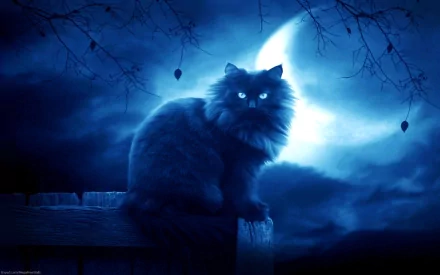 A striking blue HD wallpaper featuring a black cat with glowing eyes sitting against a night sky, illuminated by a large moon and surrounded by silhouetted branches.