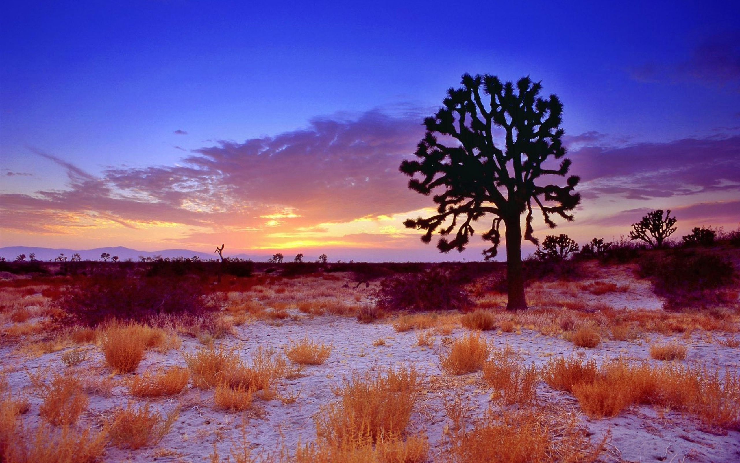 3 Mojave Desert HD Wallpapers | Background Images - Wallpaper Abyss