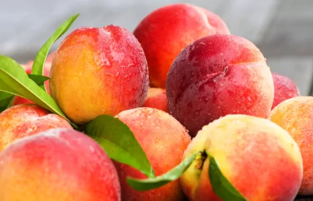 Close-up of fresh nectarines with leaves, captured in vibrant 4K Ultra HD quality, showcasing the fruit's rich colors and natural texture as a desktop wallpaper.