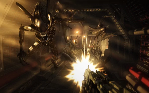 alien video game Aliens: Colonial Marines HD Desktop Wallpaper | Background Image