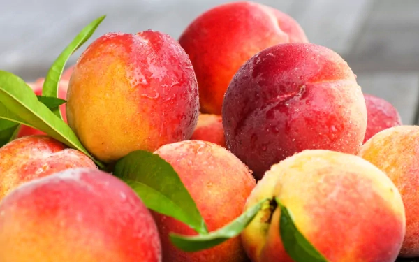 Close-up of fresh nectarines with leaves, captured in vibrant 4K Ultra HD quality, showcasing the fruit's rich colors and natural texture as a desktop wallpaper.