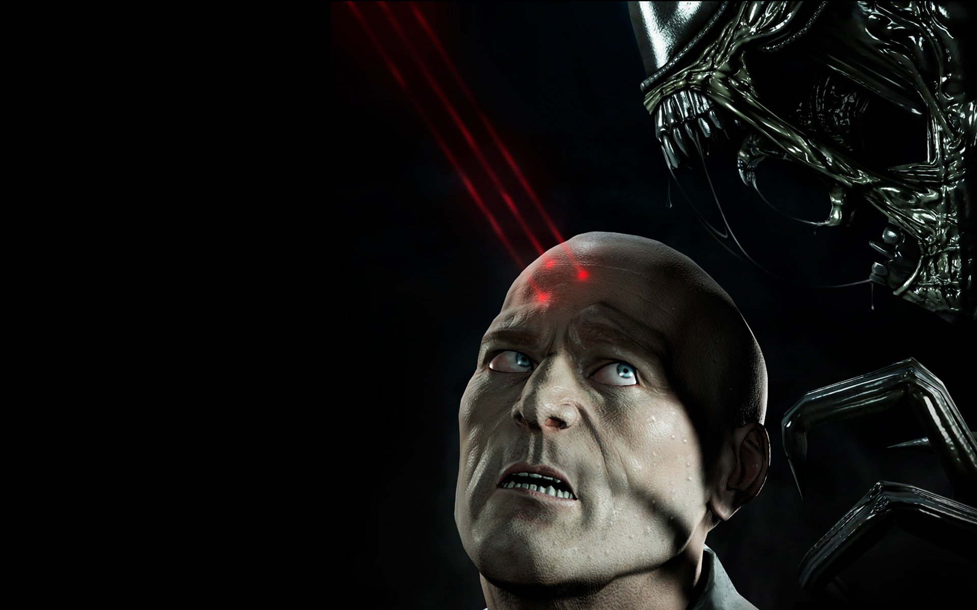 Aliens Vs. Predator HD Wallpaper | Background Image ...