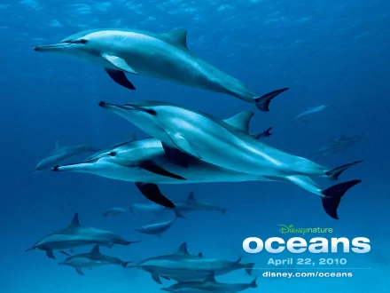 HD PC desktop wallpaper for Disney's Oceans (Movie) showing a pod of dolphins swimming through deep blue ocean, film logo in the lower right.