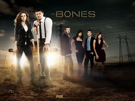 Lance Sweets John Francis Daley Tamara Taylor Camille Saroyan T.J. Thyne Jack Hodgins Michaela Conlin Angela Montenegro David Boreanaz Seeley Booth Emily Deschanel Temperance Brennan TV Show Bones (TV Show) HD Desktop Wallpaper | Background Image