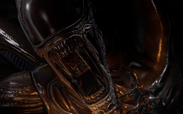 Video Game Aliens Vs. Predator Alien HD Wallpaper | Background Image