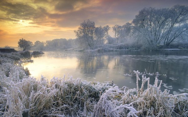 Earth Winter Sunrise Lake Ice Nature Tree Water England Frost HD Wallpaper | Background Image