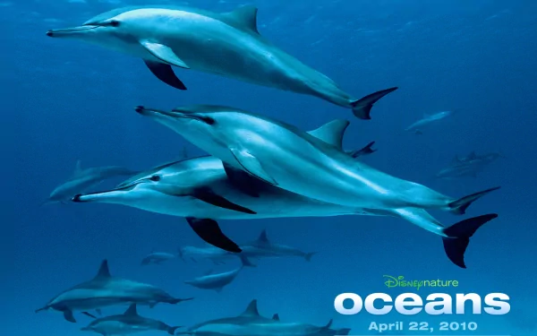 HD PC desktop wallpaper for Disney's Oceans (Movie) showing a pod of dolphins swimming through deep blue ocean, film logo in the lower right.