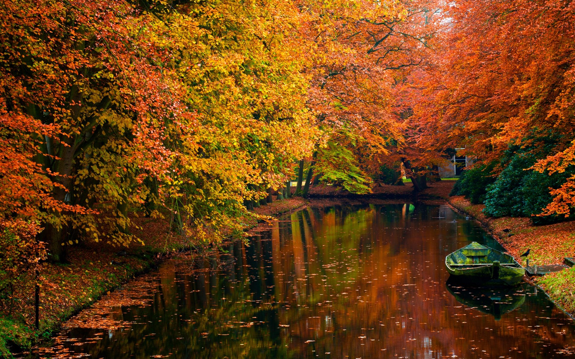A serene autumn scene featuring vibrant orange and yellow leaves reflecting on a calm lake, with a small boat gently floating by the tree-lined shore. An inviting HD desktop wallpaper.