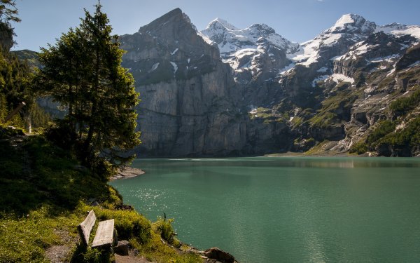 Photography Lake Lakes Landscape Mountain Tree Bench Switzerland HD Wallpaper | Background Image