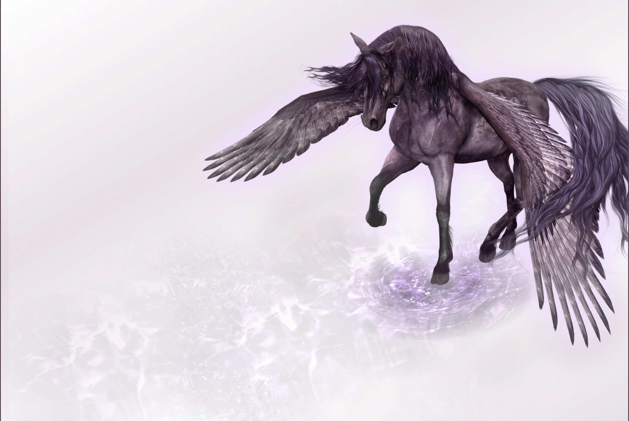 Fantasy Pegasus HD Wallpaper | Background Image