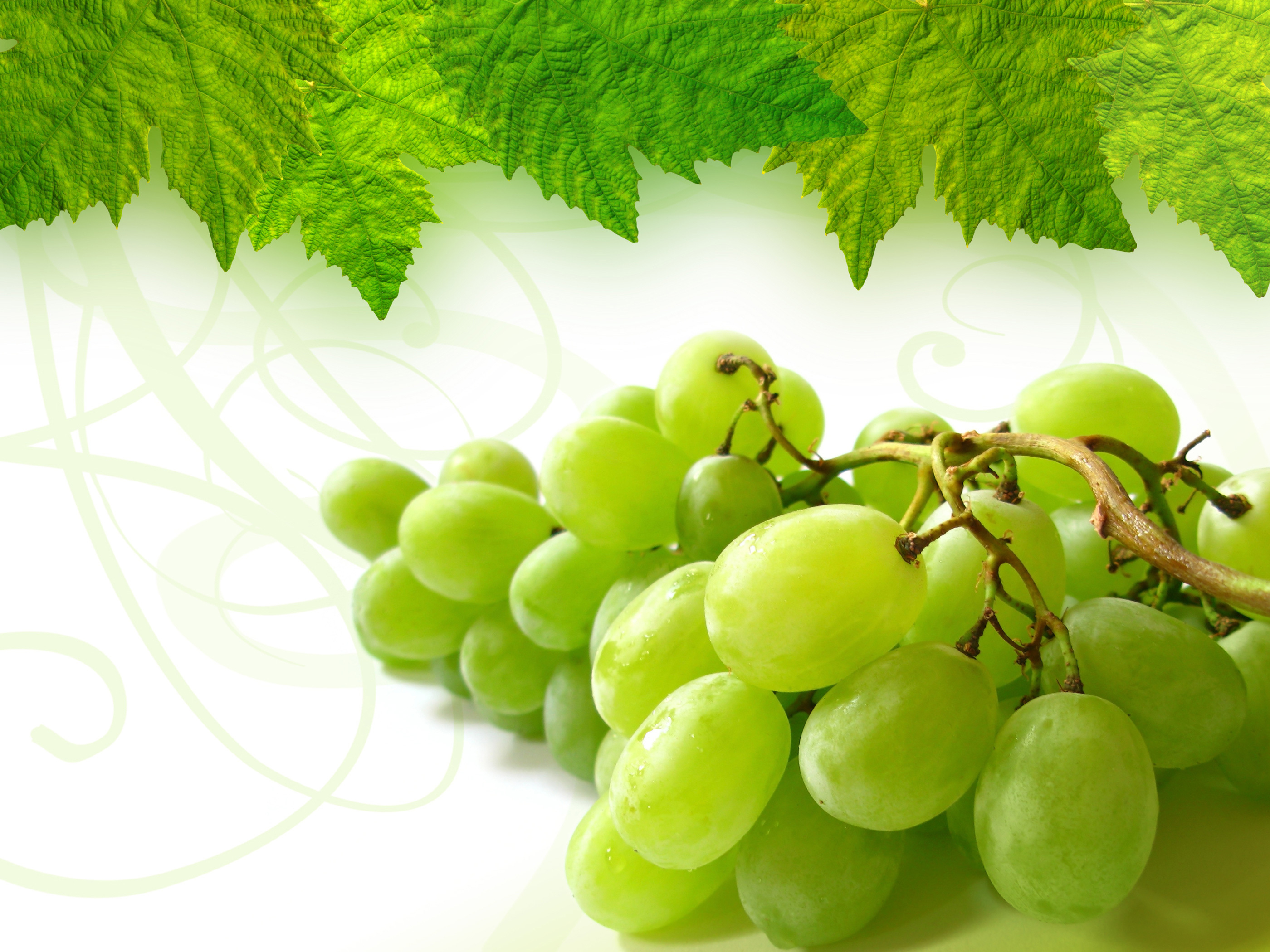 Grape Full HD Wallpaper and Background | 2800x2100 | ID:288596