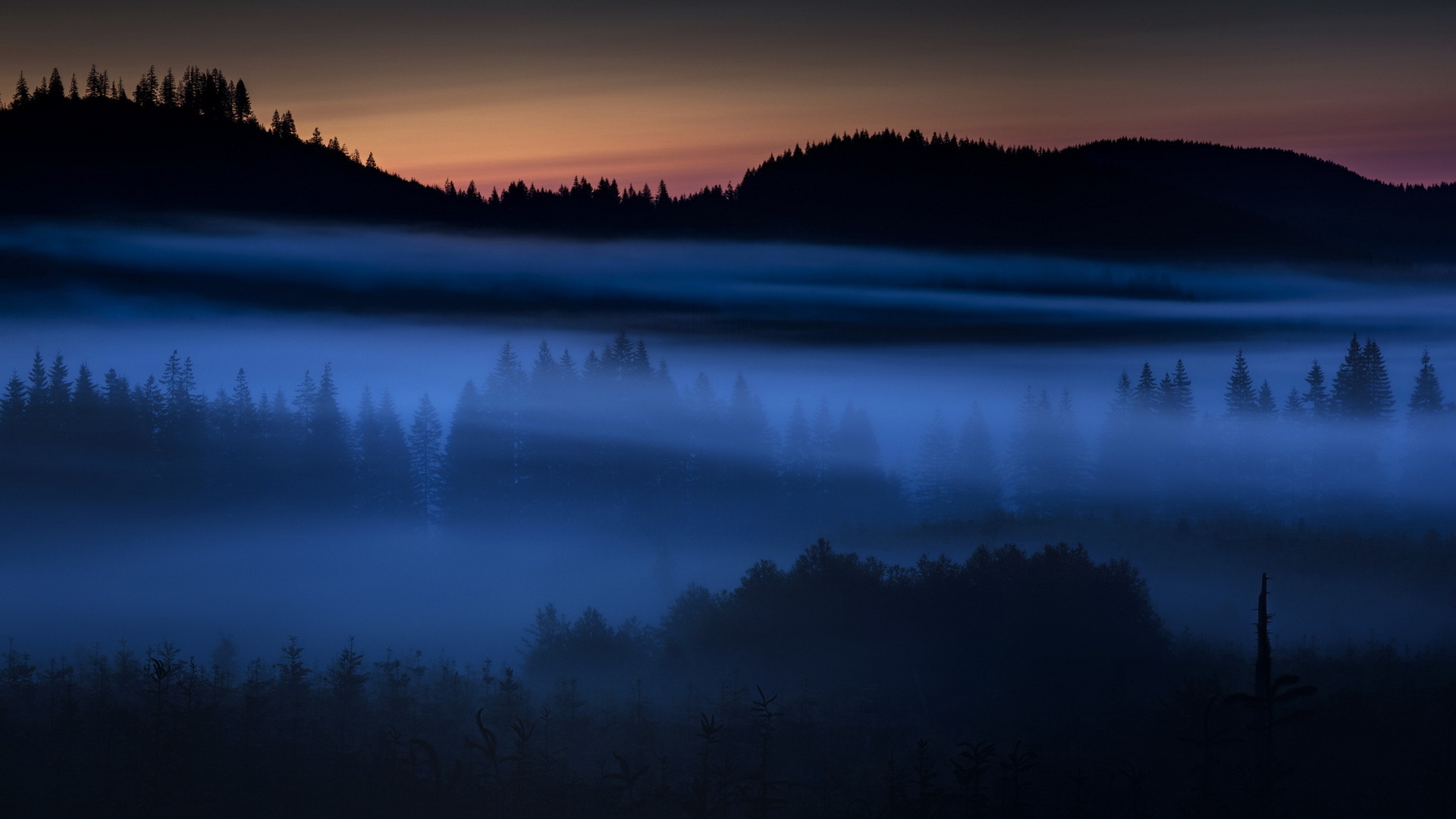 Nature Fog HD Wallpaper | Background Image