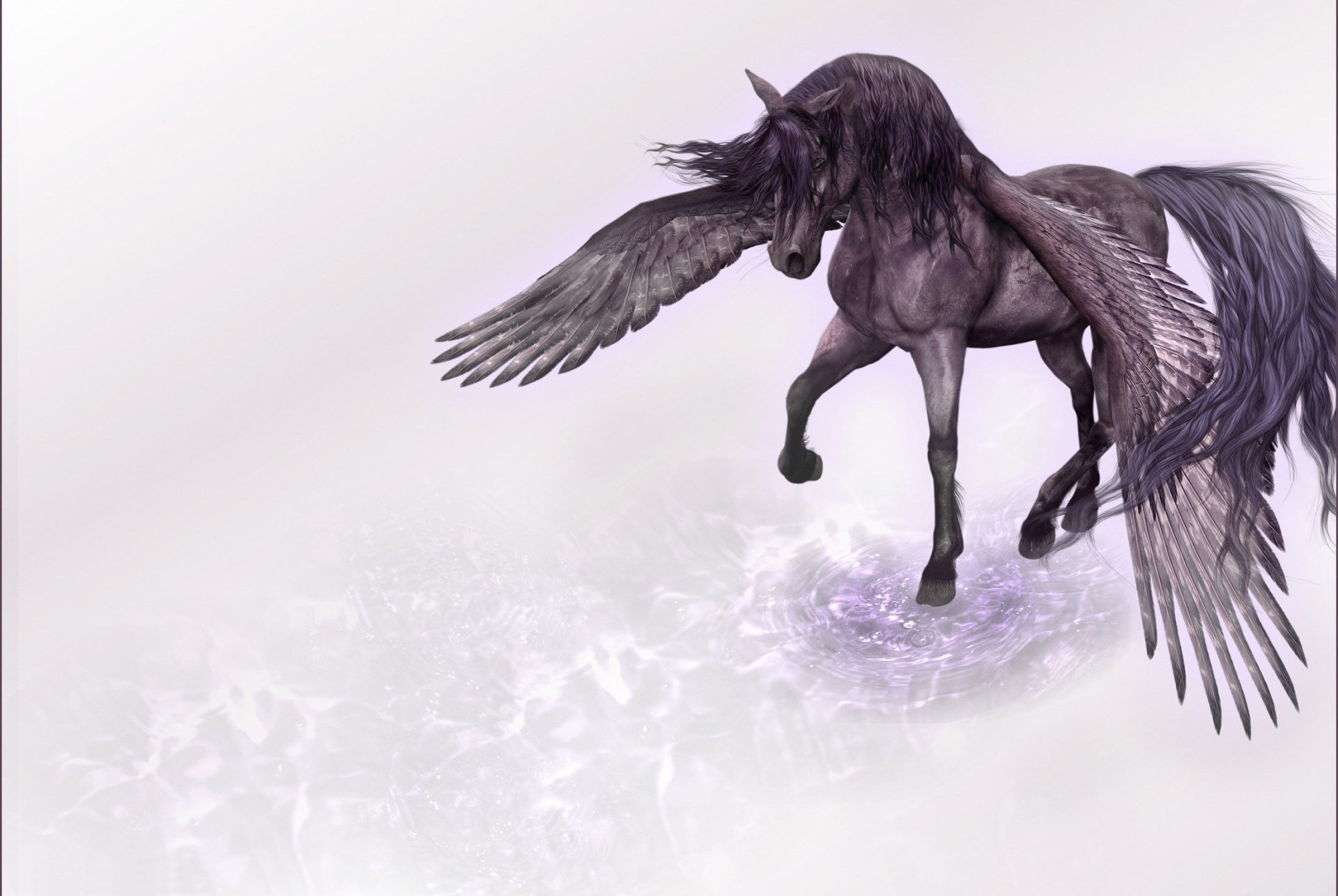 A majestic black Pegasus with flowing mane and wings, gracefully standing in shallow water, set against a soft pastel background, creating a captivating fantasy-themed HD wallpaper.