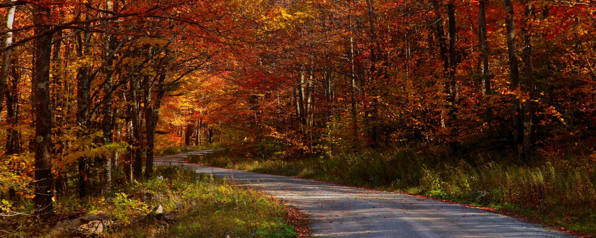 HD desktop wallpaper of a man-made road winding through a dense forest with vibrant autumn foliage in rich reds and oranges.
