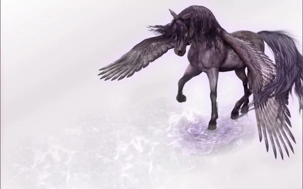 A majestic black Pegasus with flowing mane and wings, gracefully standing in shallow water, set against a soft pastel background, creating a captivating fantasy-themed HD wallpaper.