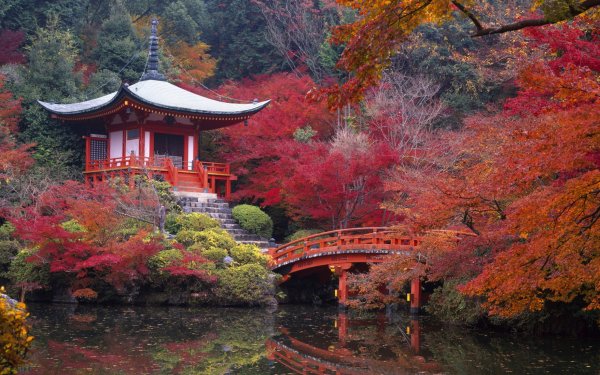 Religioso Daigo-ji Templos Puente Agua Reflejo Árbol Edificio Otoño Templo Japón Kyoto Pagoda Naturaleza Jardín japonés Santuario Religion Fondo de pantalla HD | Fondo de Escritorio