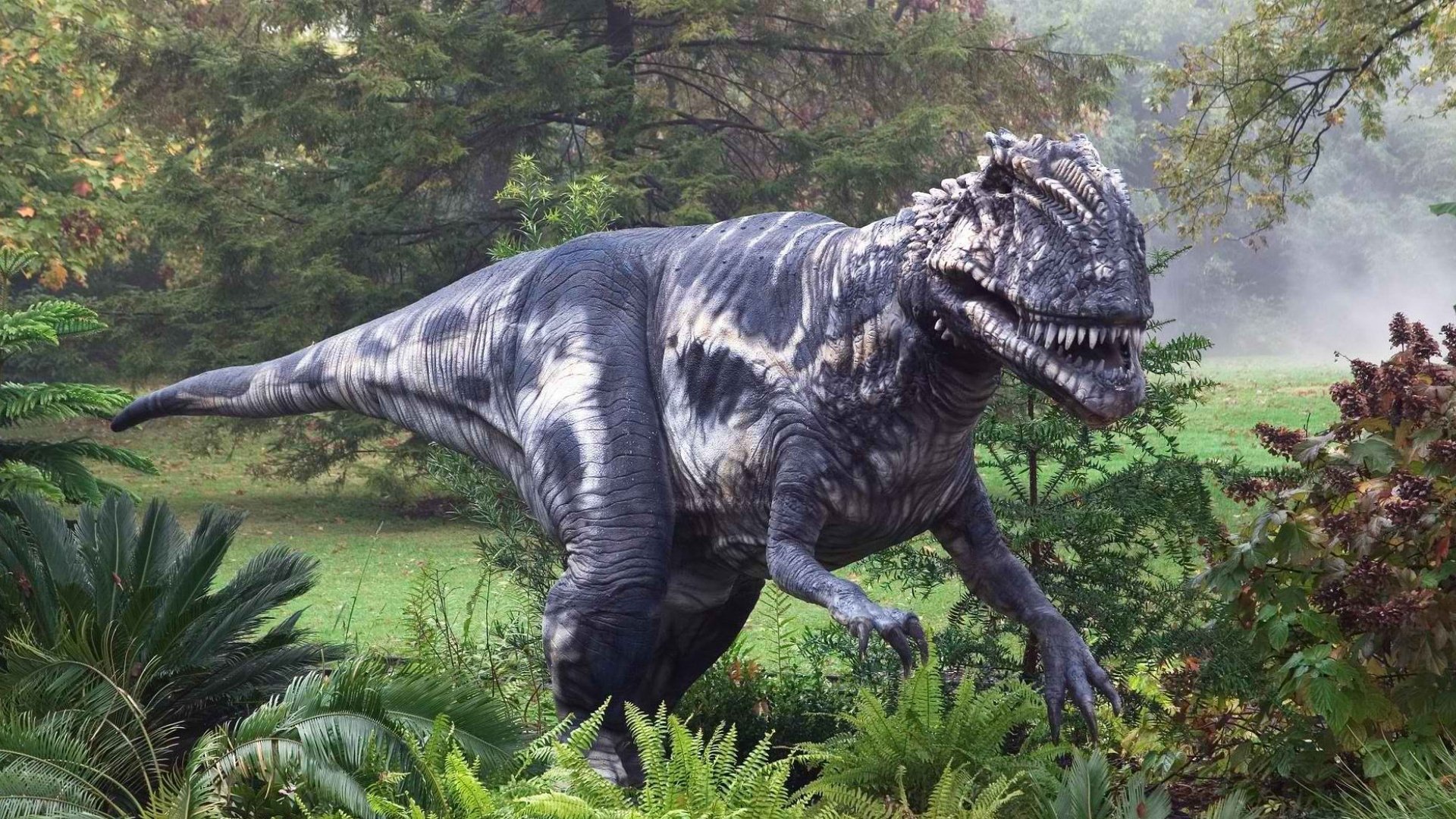 Tyrannosaurus Rex Full HD Wallpaper and Background Image | 1920x1080