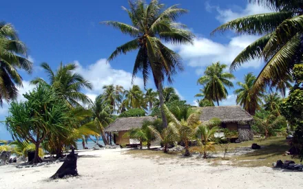 A tropical HD desktop wallpaper featuring a sandy landscape in Malaysia with palm trees and a rustic hut under a clear blue sky.